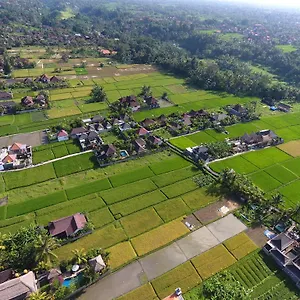  Villa Pondok Penestanan Indonesia